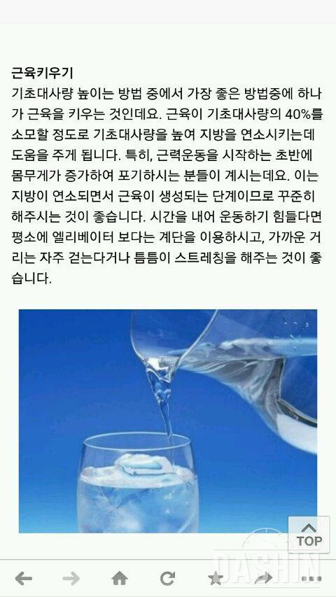 기초대사량 높이는 방법 5가지