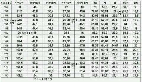 예쁜몸매사이즈