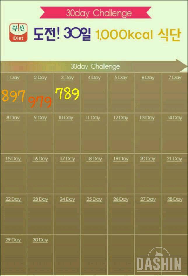 3일차 : 1000kcal 식단