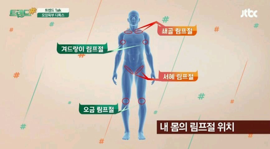 몸 붓기빼기(림프절 위치)