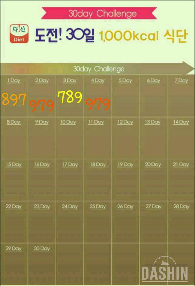 4일차 : 1000kcal 식단