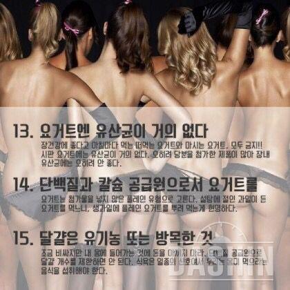 다이어터의 식이요법