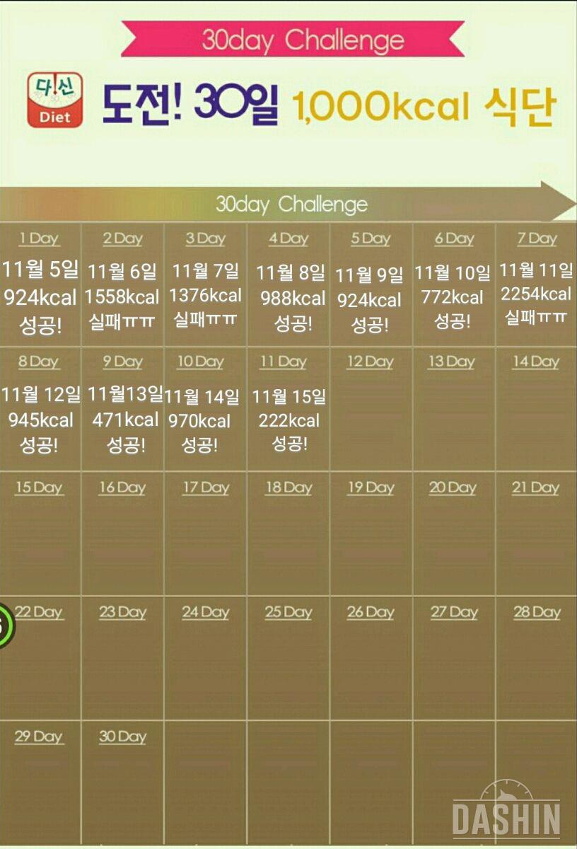 2차 -11일 222kcal 성공