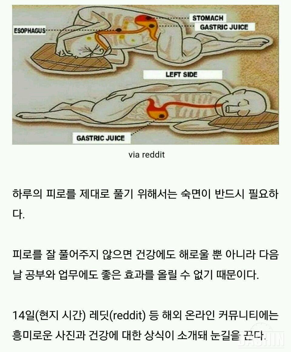 잠잘때는 오른쪽 왼쪽 어디보는게 좋을까용??