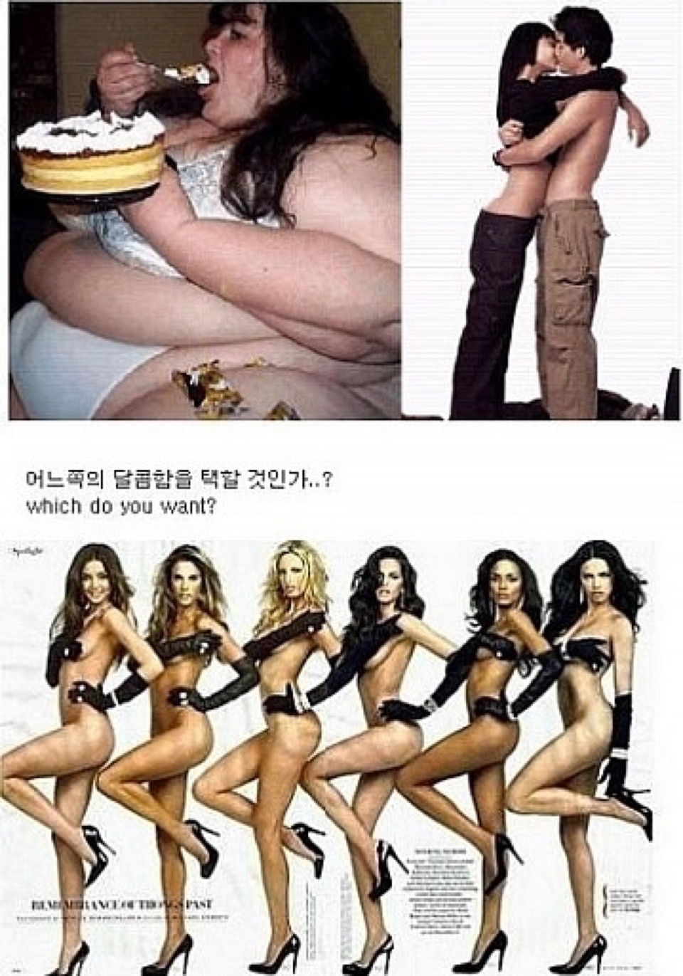 자극제대로오는 비포앤애프터