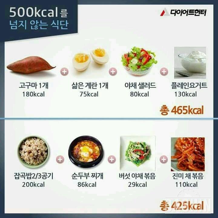 500칼로리가 넘지 않는 식단