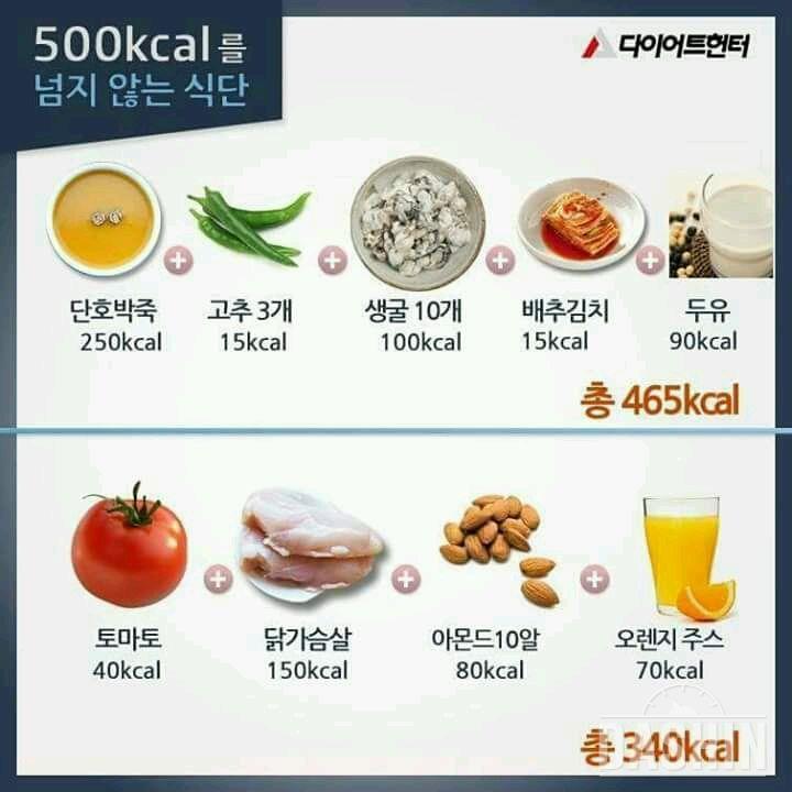 500칼로리가 넘지 않는 식단