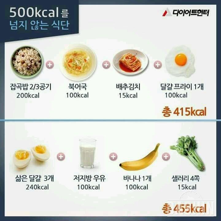 500칼로리가 넘지 않는 식단