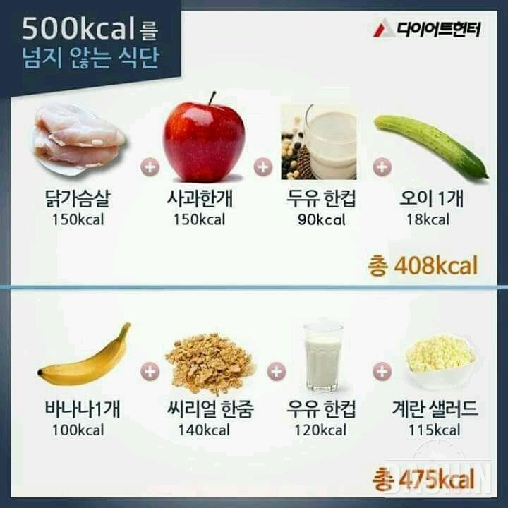 500칼로리가 넘지 않는 식단