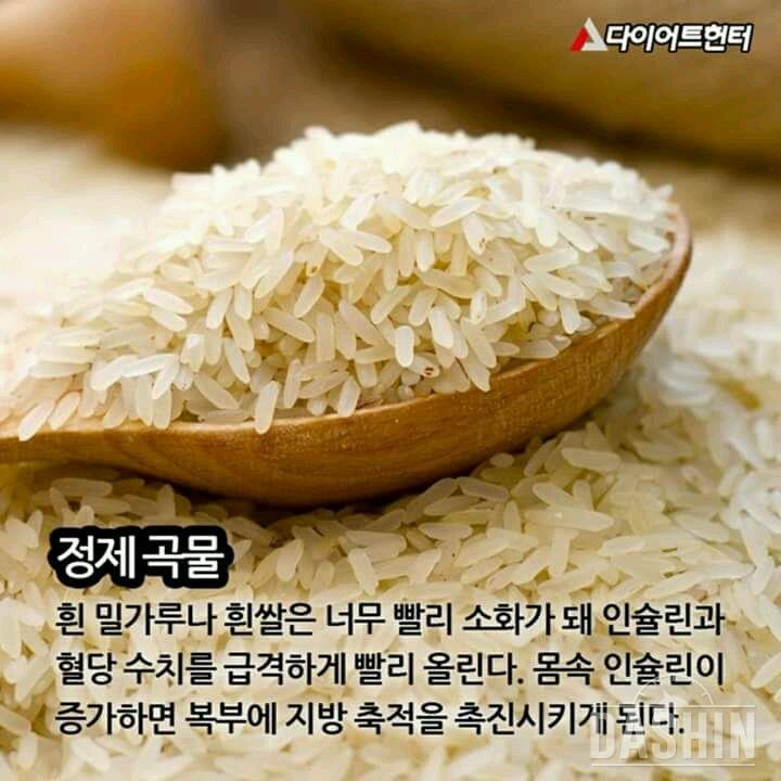 다이어트 중 꼭!! 피해야 하는 음식