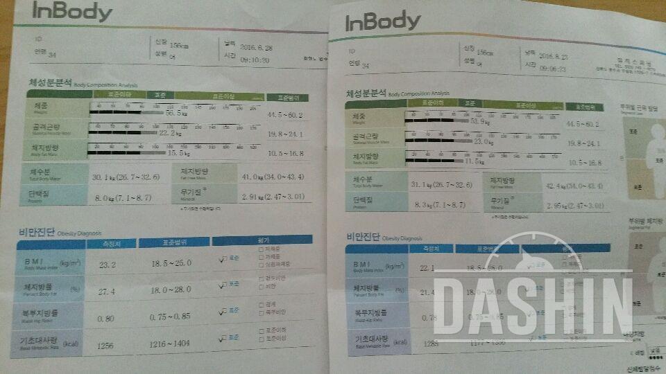 <최종후기> 15곡두유