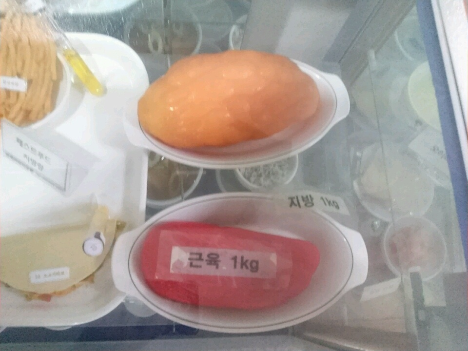 지방 1kg, 근육 1kg