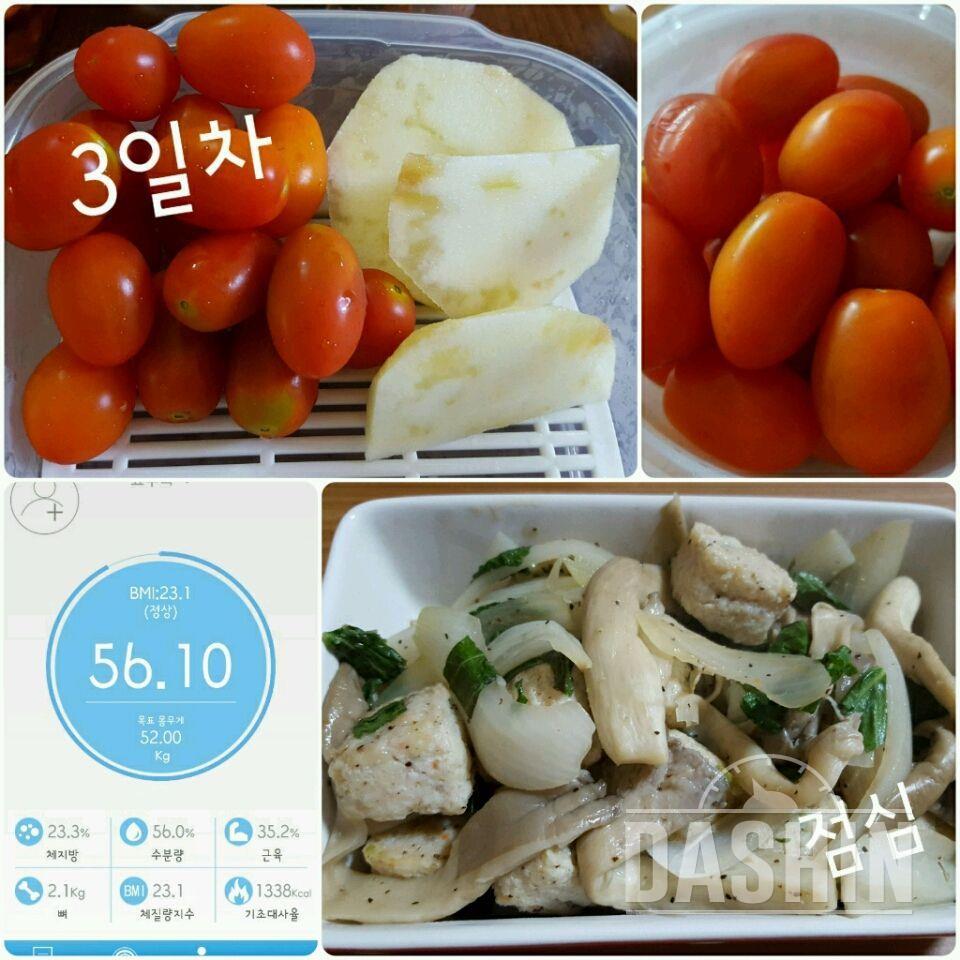 5일동안 식단