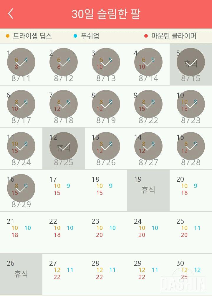 30일 슬림한 팔 16일차 성공!