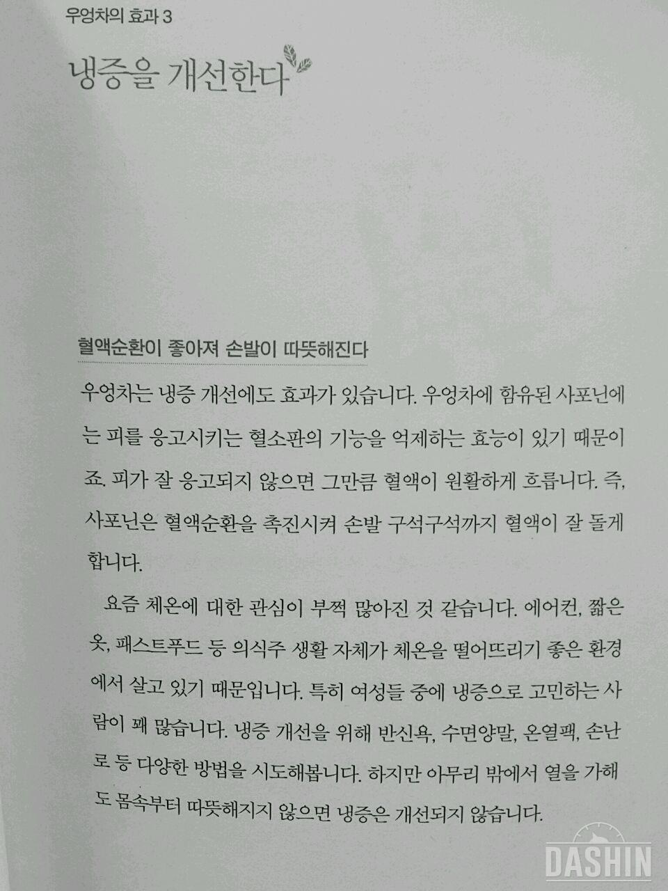 우엉차의 효능 대체 뭐가 맞을까요?