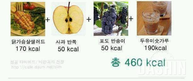 500칼로리 이하로 먹기