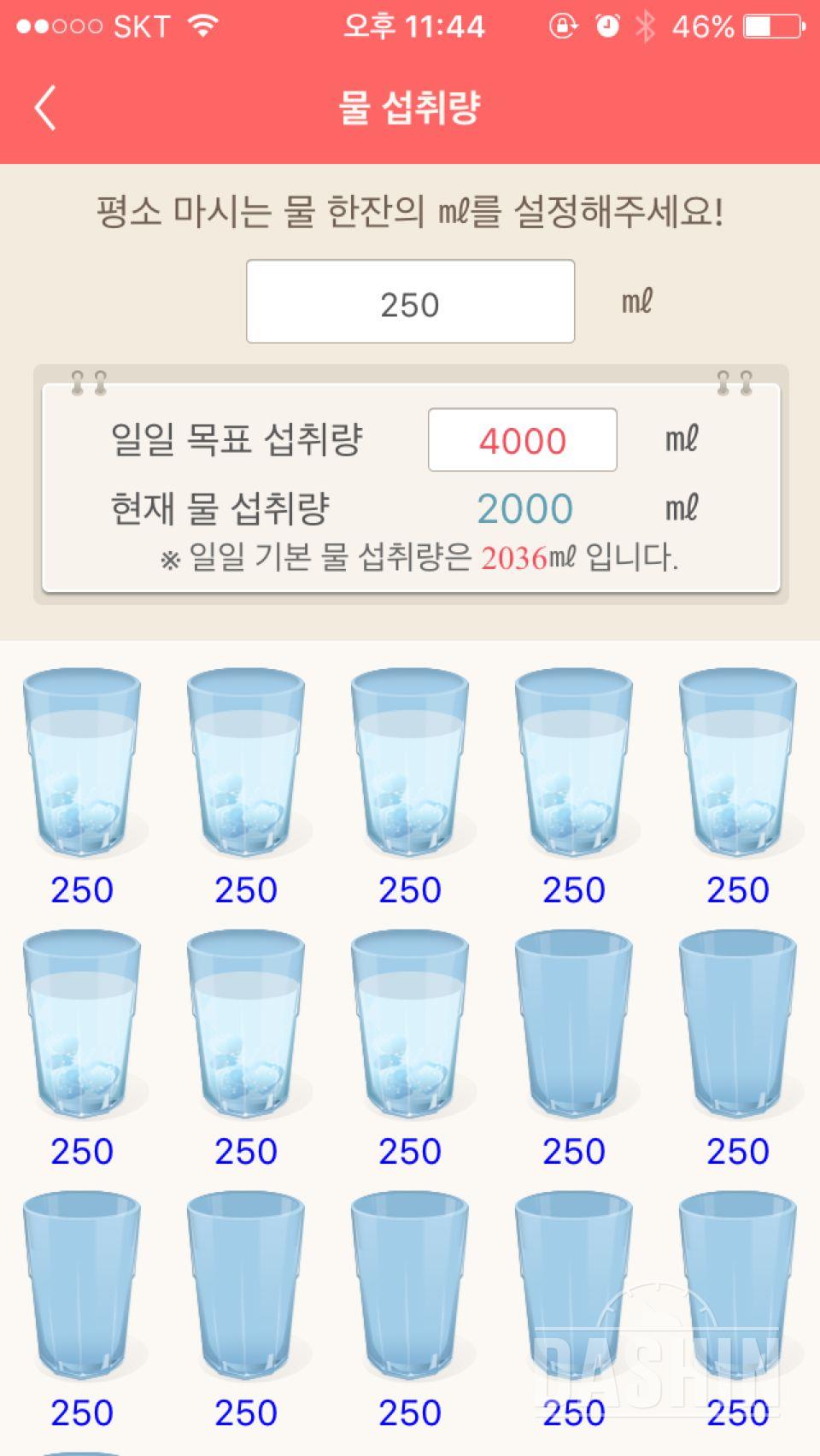 30일 하루 2L 물마시기 11일차 성공!