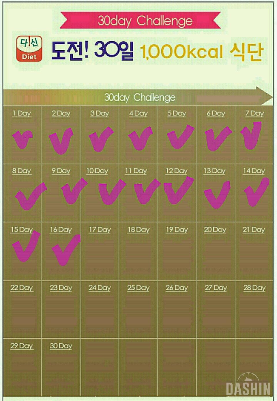 1000kcal 도전 16일