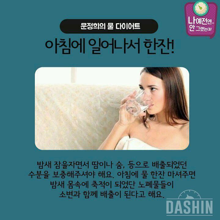 물다이어트