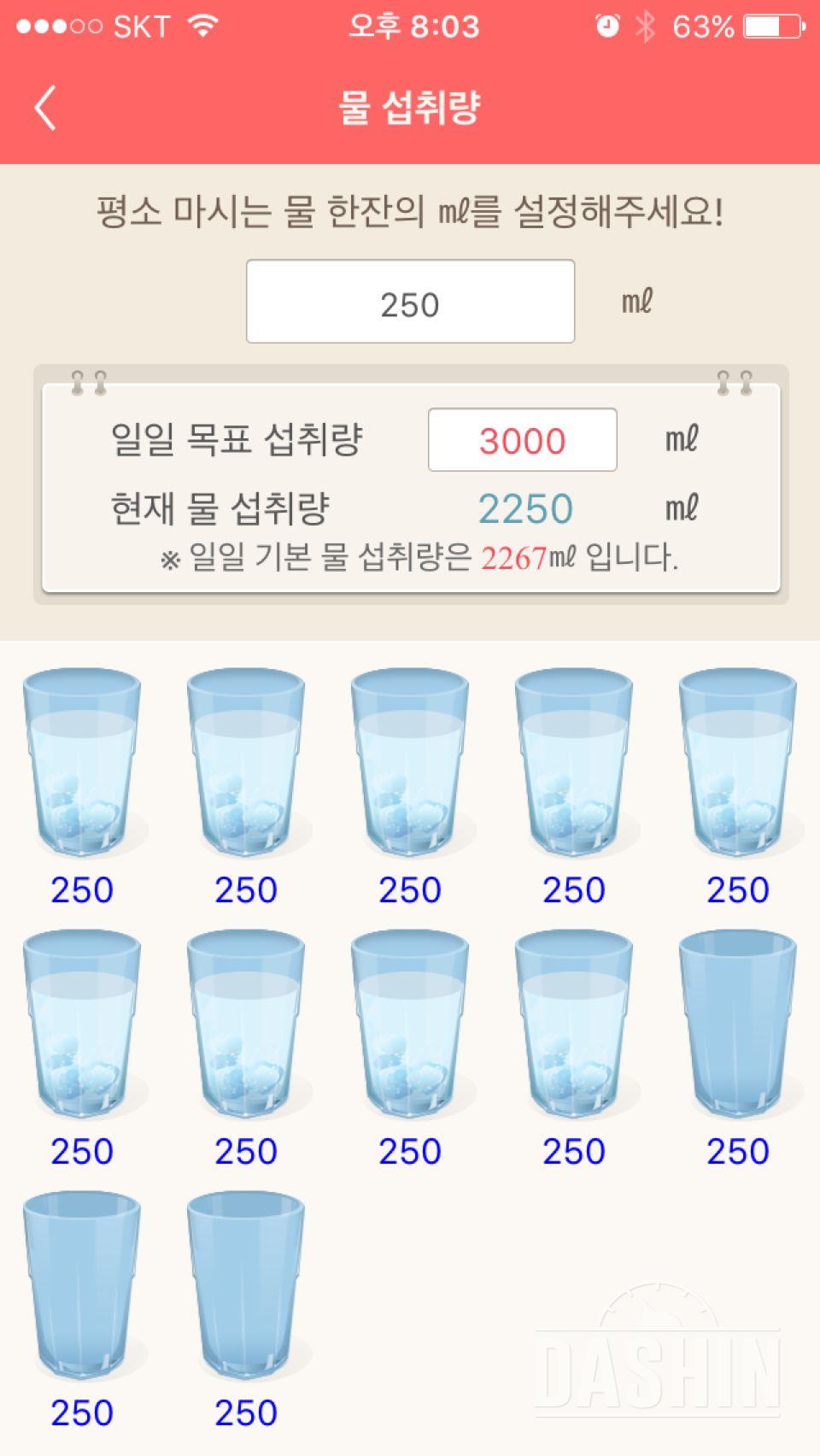 30일 하루 2L 물마시기 33일차 성공!