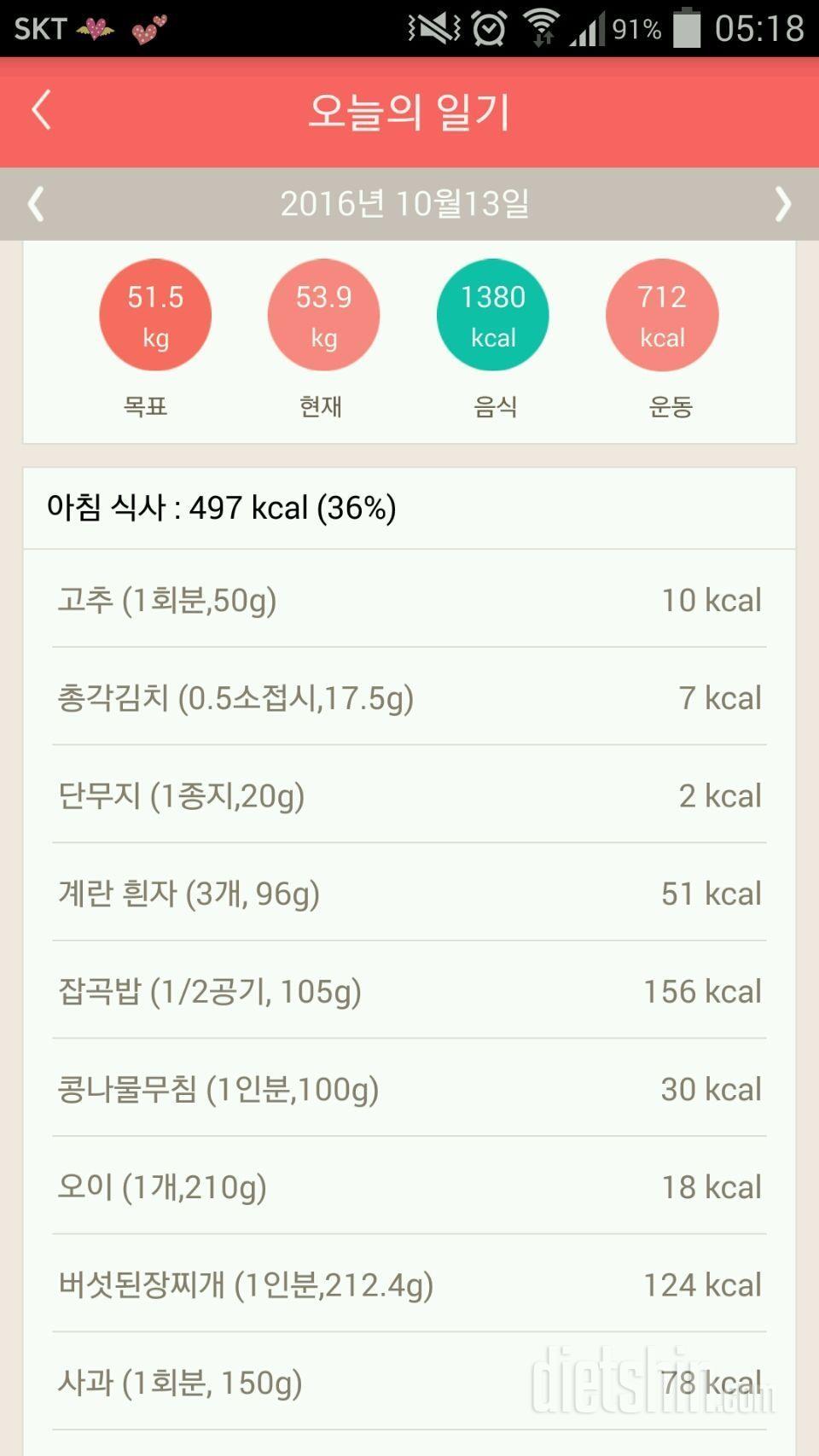 [다신 6기 초보반] 13일차 식단, 운동, 일일미션