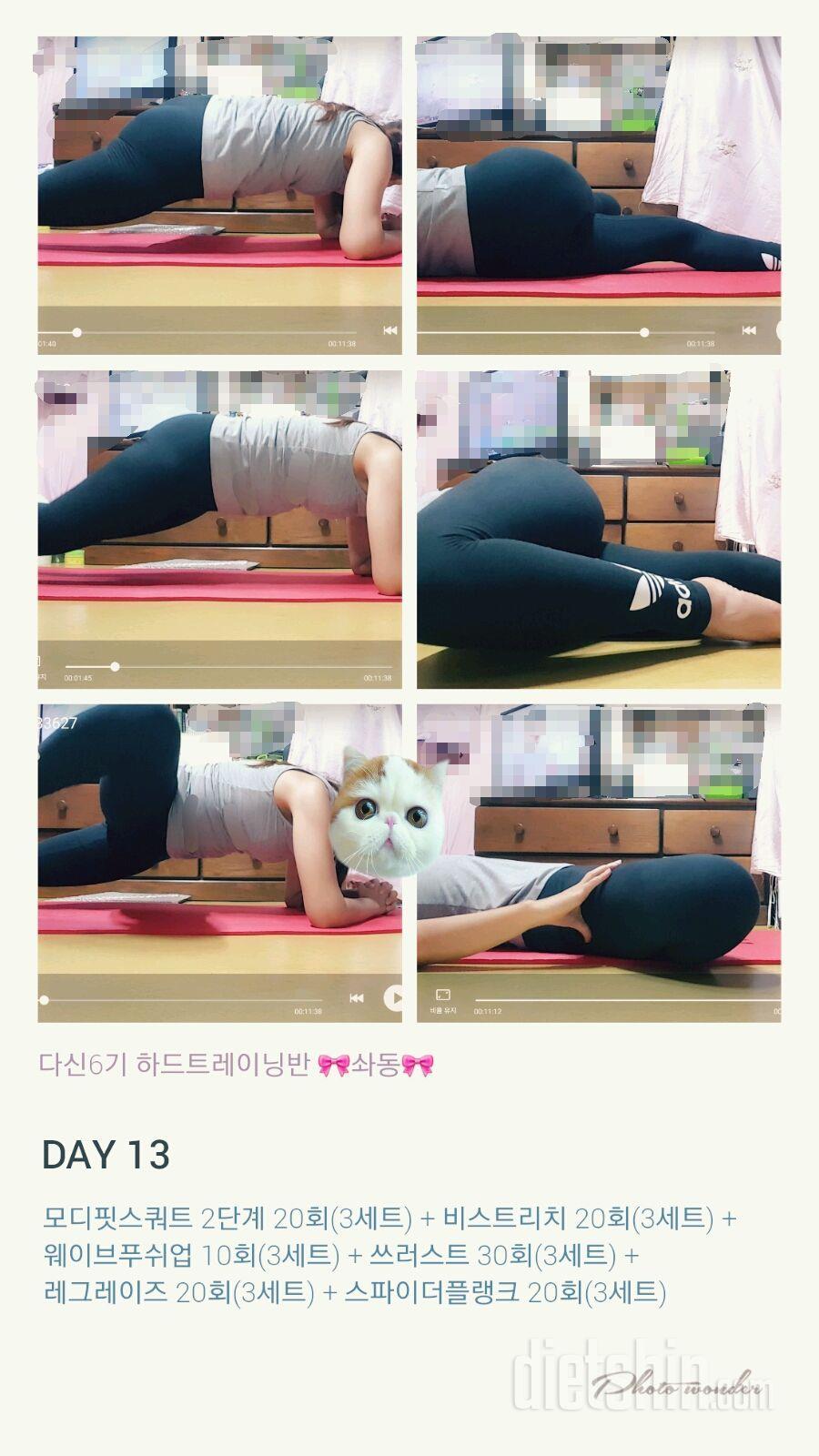 하드트레이닝 🎀솨동🎀 13일차 일기