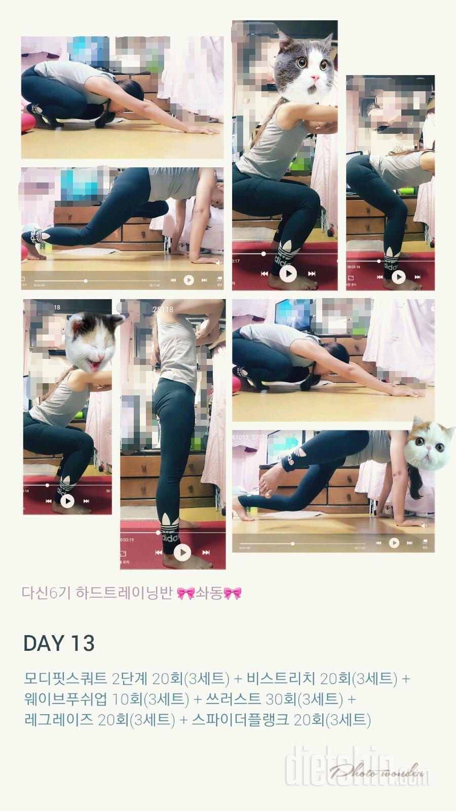 하드트레이닝 🎀솨동🎀 13일차 일기