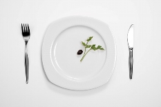 식단조절을 해도 왜 살이 잘 안 빠질까?