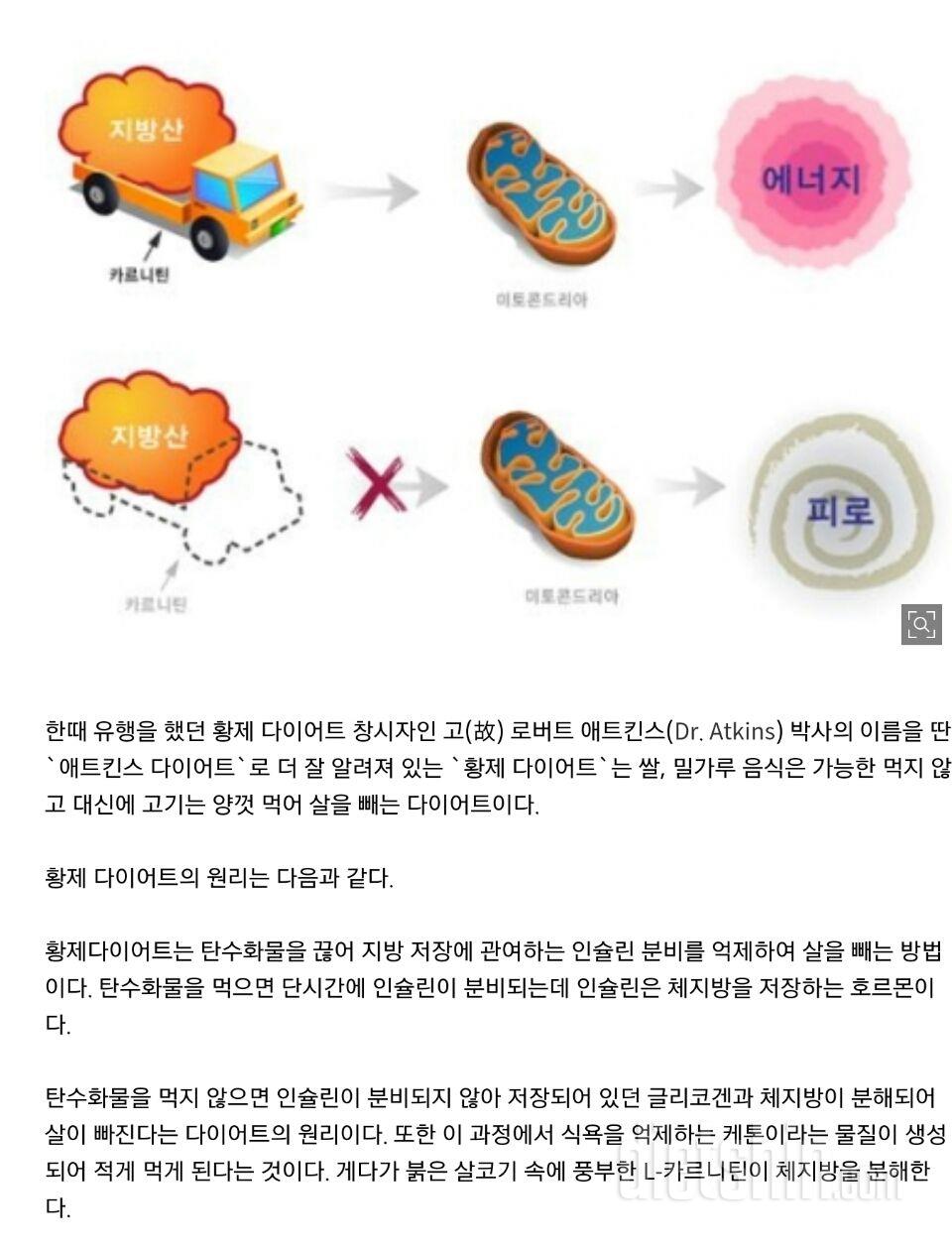 l카르니틴 섭취하시는분??