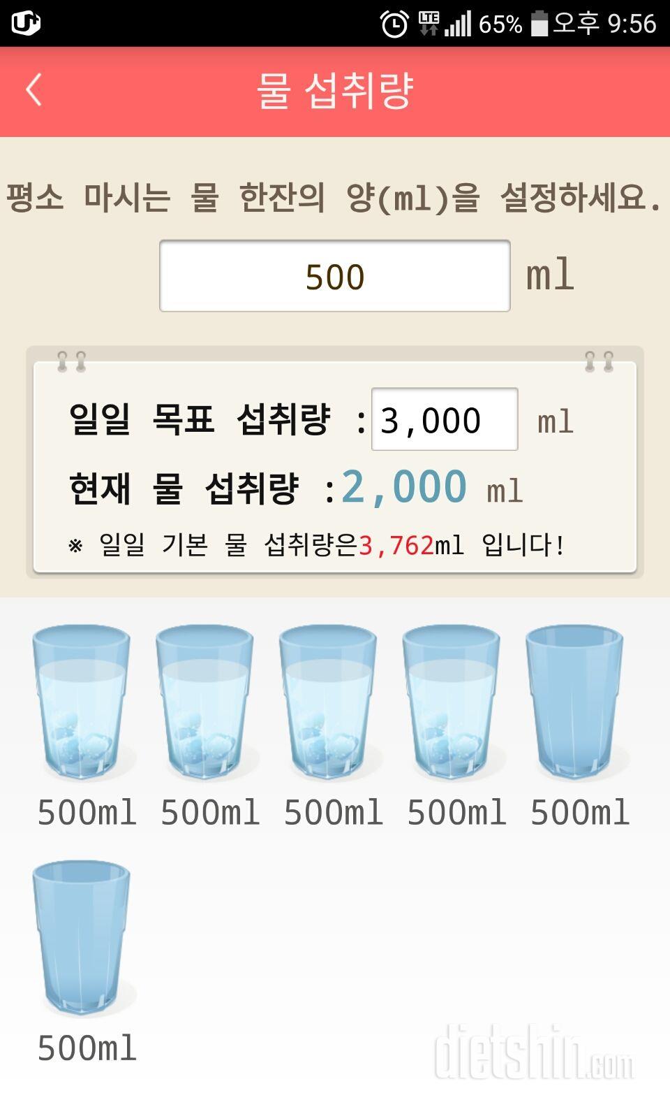 30일 하루 2L 물마시기 13일차 성공!