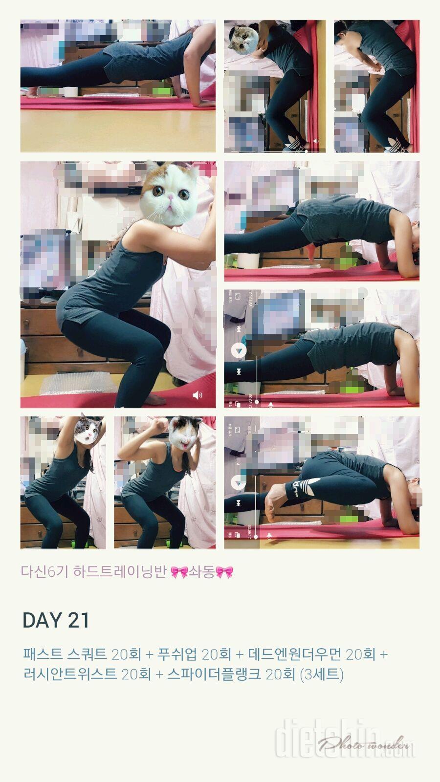 하드트레이닝 🎀솨동🎀 21일차 일기