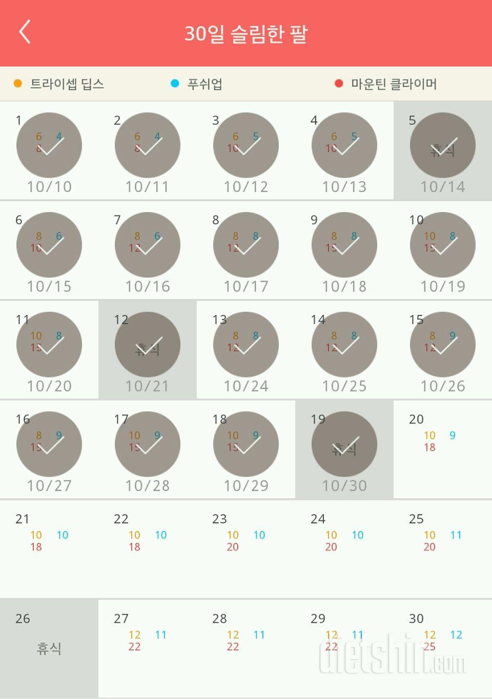 30일 슬림한 팔 19일차 성공!