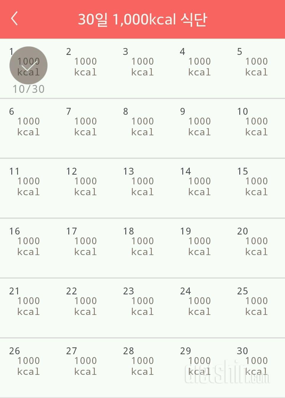 30일 1,000kcal 식단 1일차 성공!