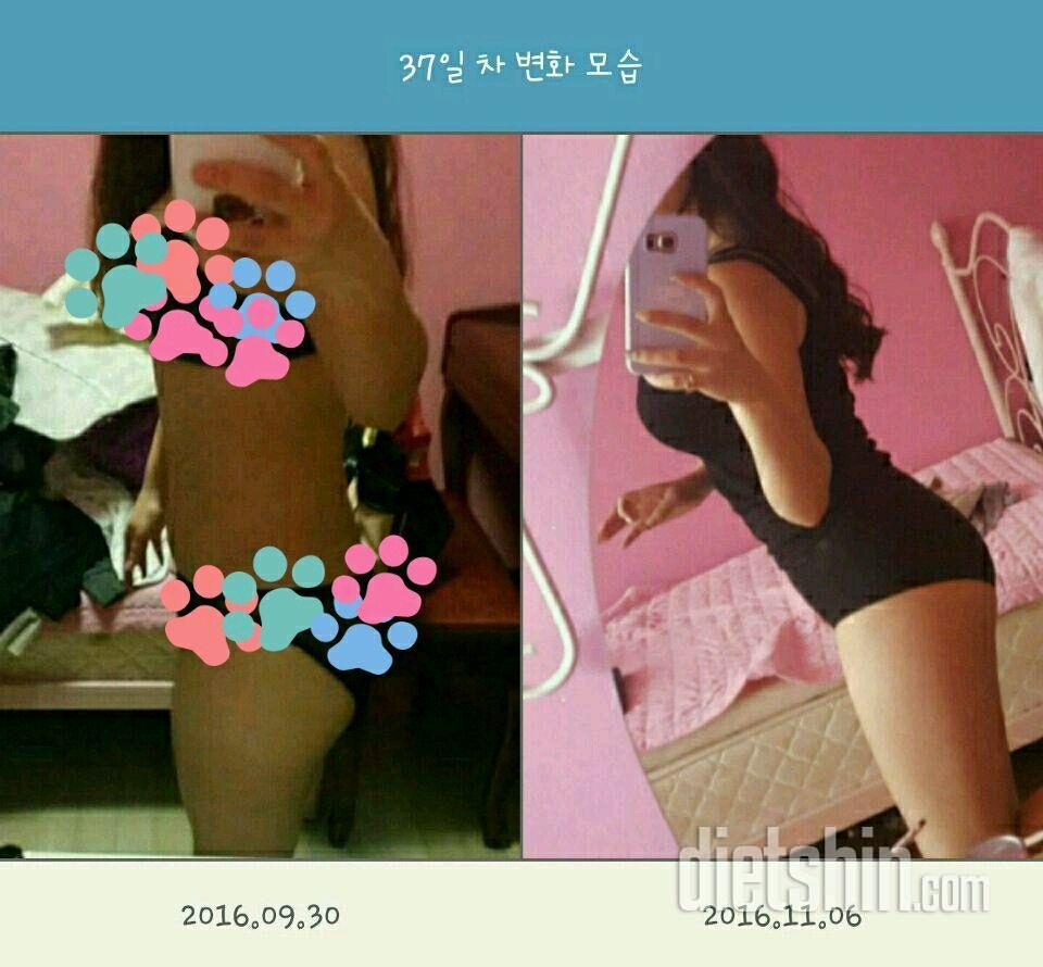 비포애프터