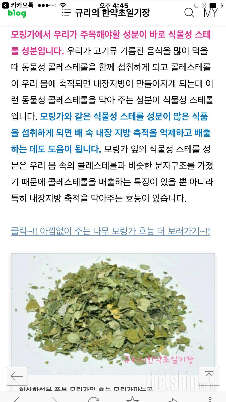 저녁 올만에먹는 곤약국수