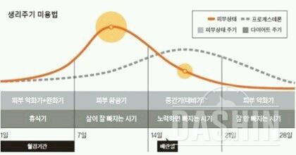 생리주기 미용법