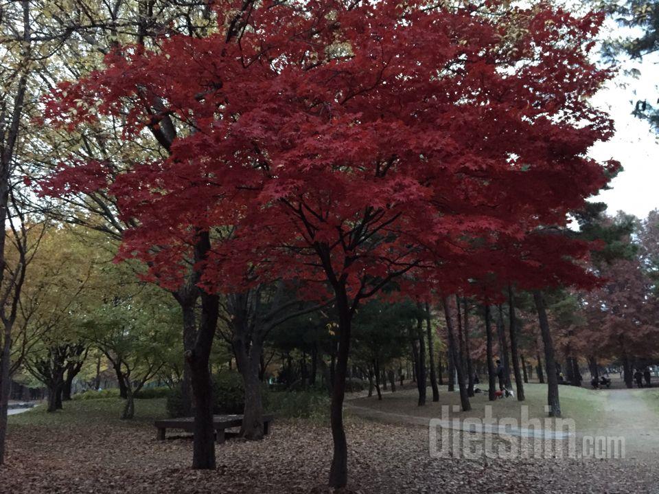 서울숲에서 산책