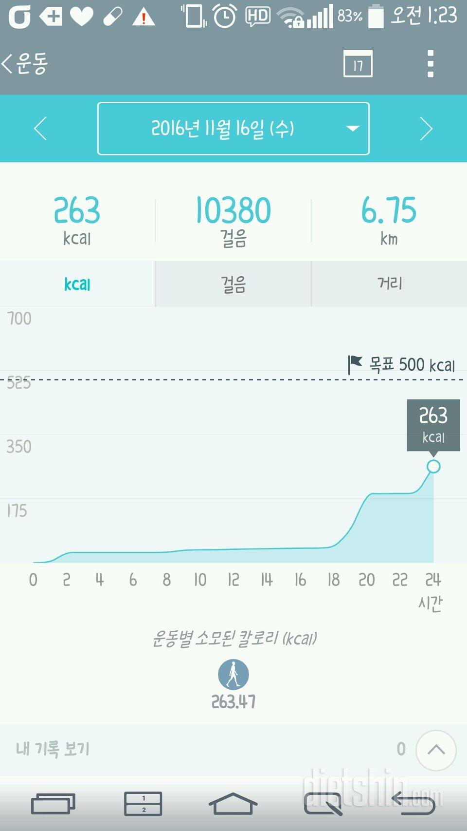 30일 만보 걷기 33일차 성공!