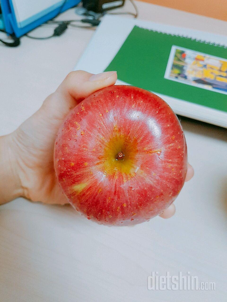 기숙사생 아침밥