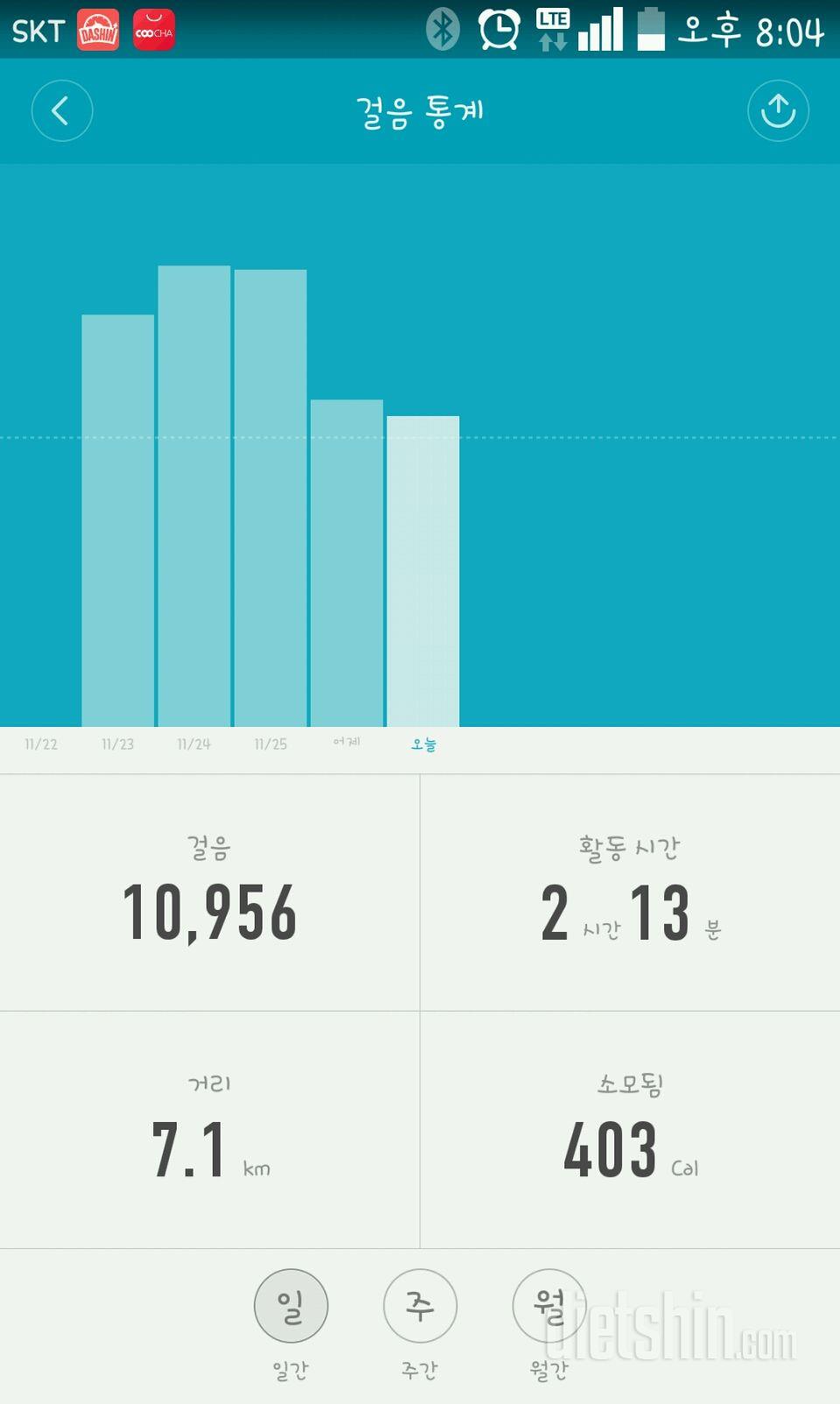 30일 만보 걷기 33일차 성공!