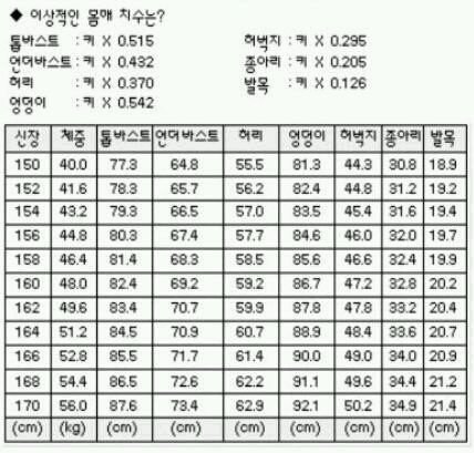 키에 따른 치수