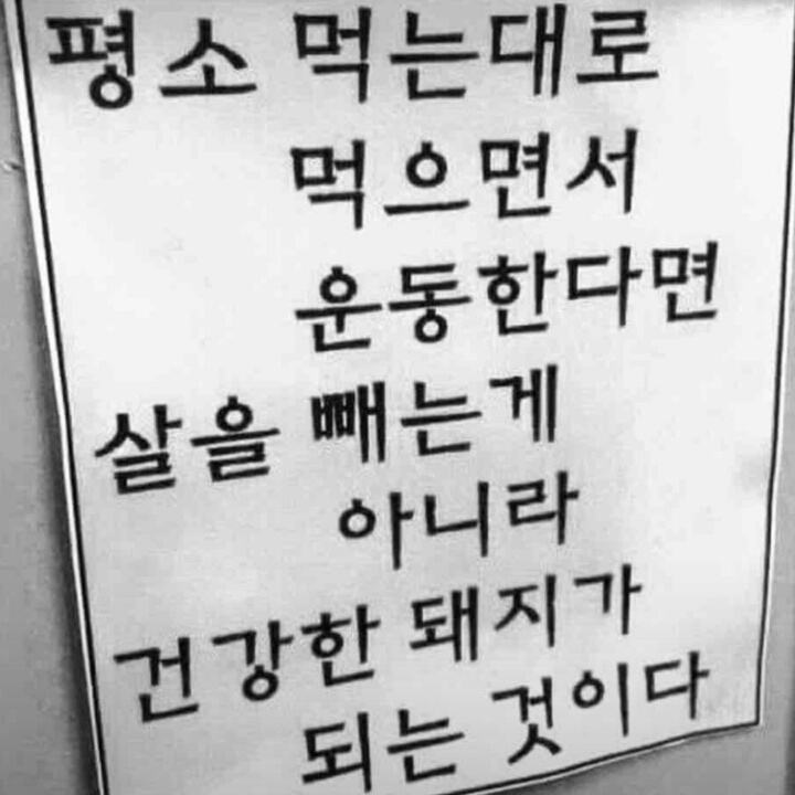 자극사진