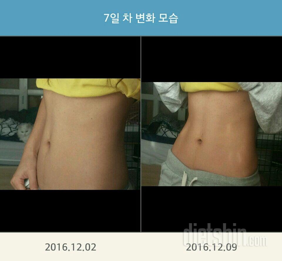 [11자 복근 챌린지-2주차] 16일째 변화기록