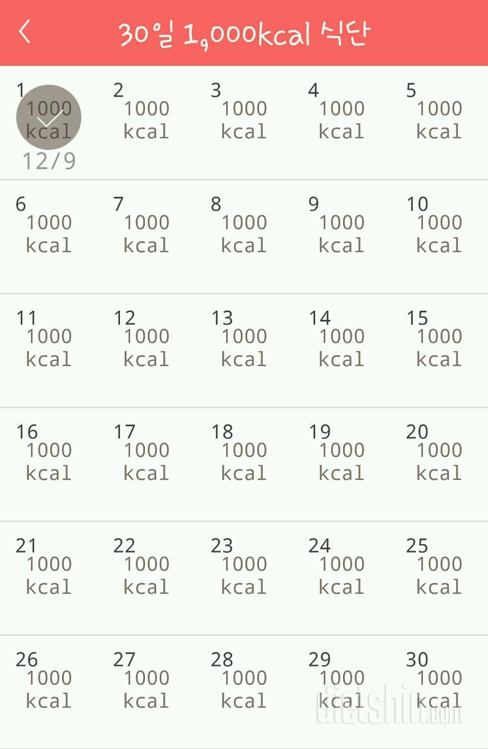 30일 1,000kcal 식단 1일차 성공!