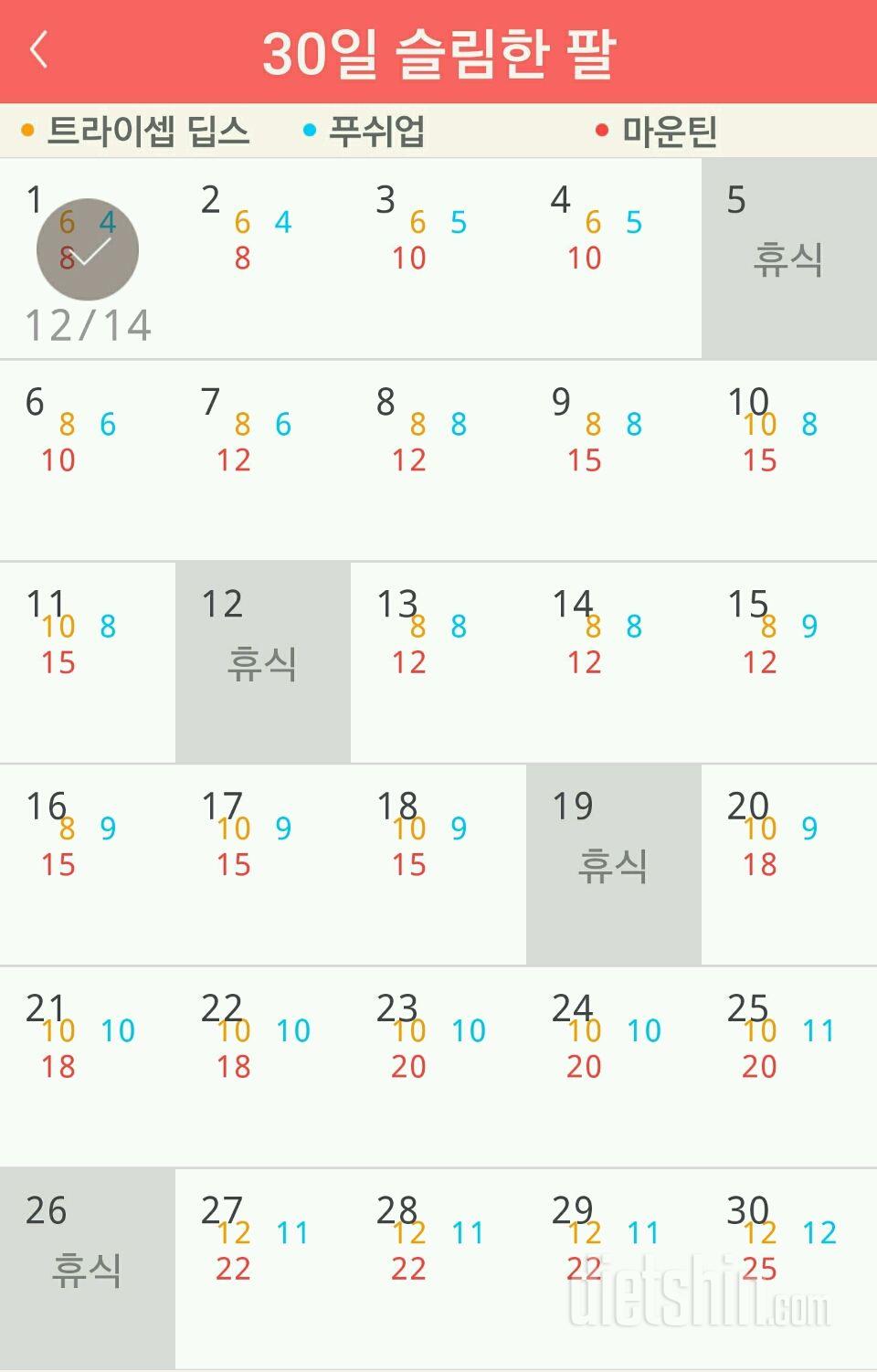 30일 슬림한 팔 31일차 성공!