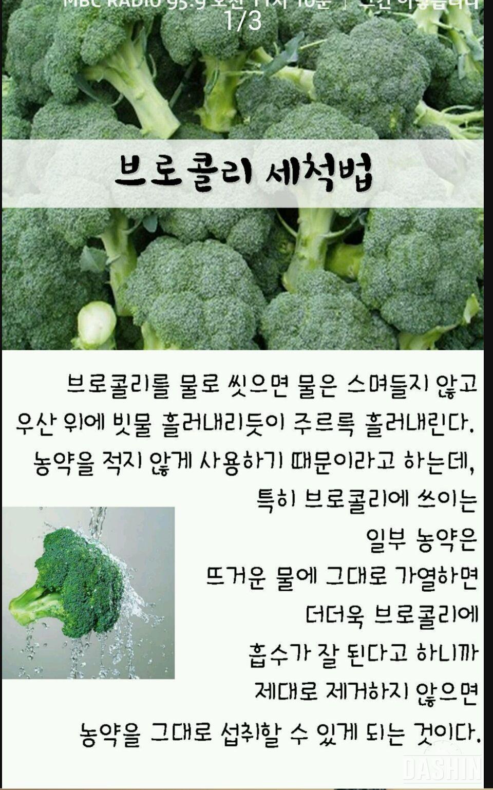 브로콜리 올바른 세척법