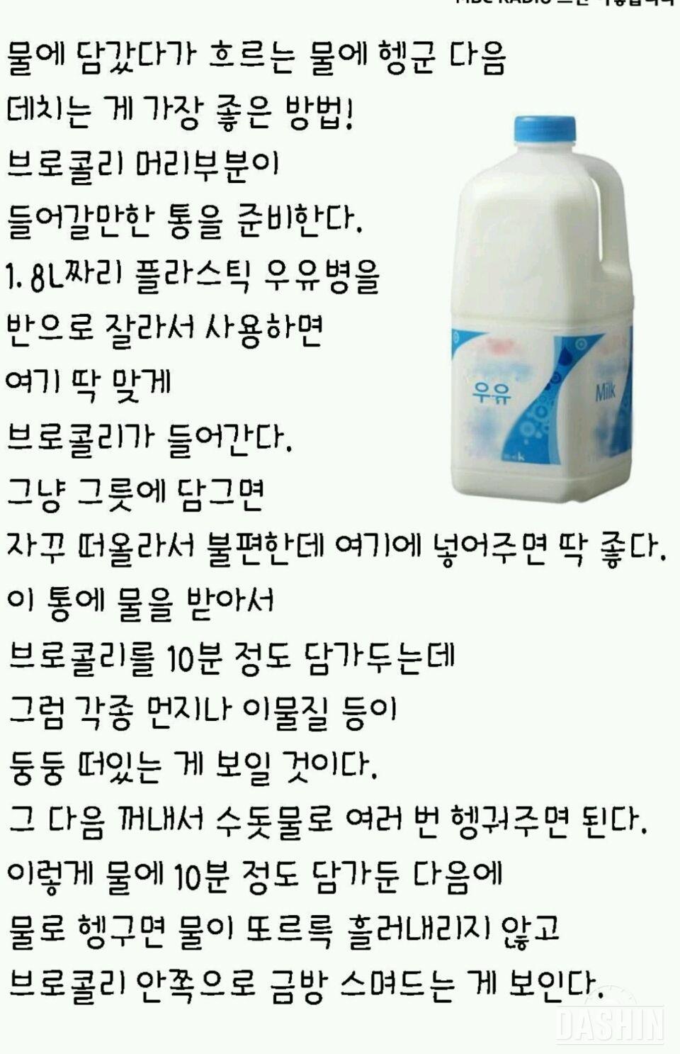 브로콜리 올바른 세척법