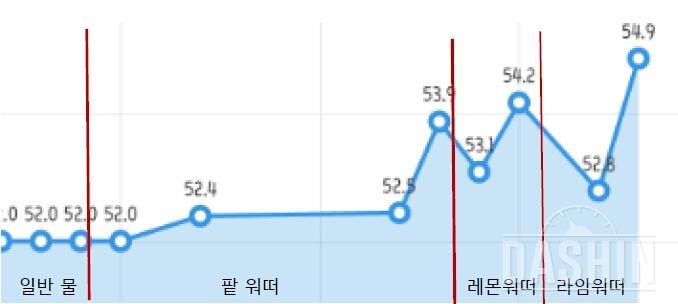 체험단 종합후기!! 추천팁까지😄