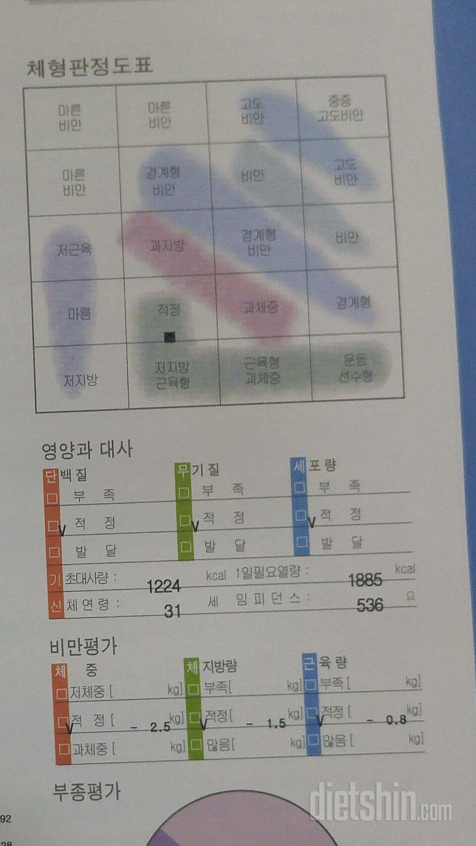 다이어트중 이정도면 괜찮은가요?