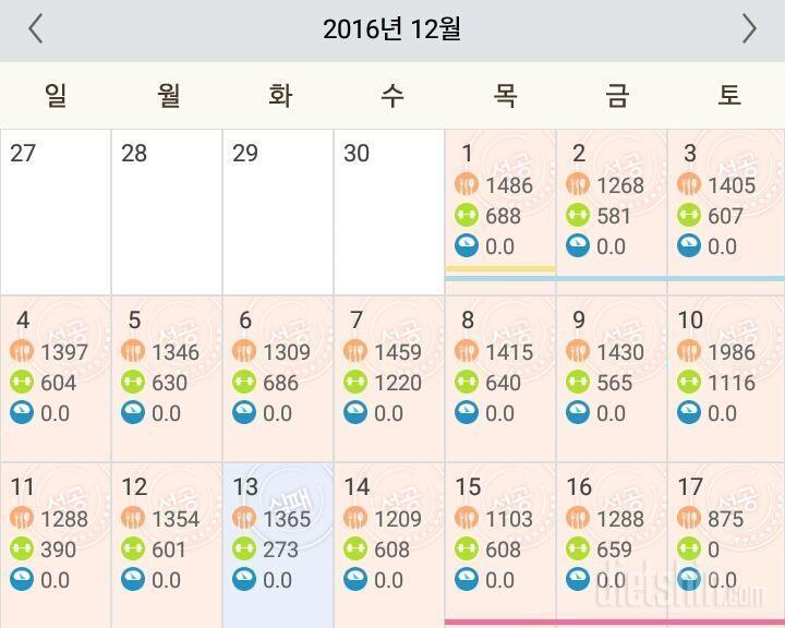 [11자복근 챌린지] 최종후기 -총 33일차